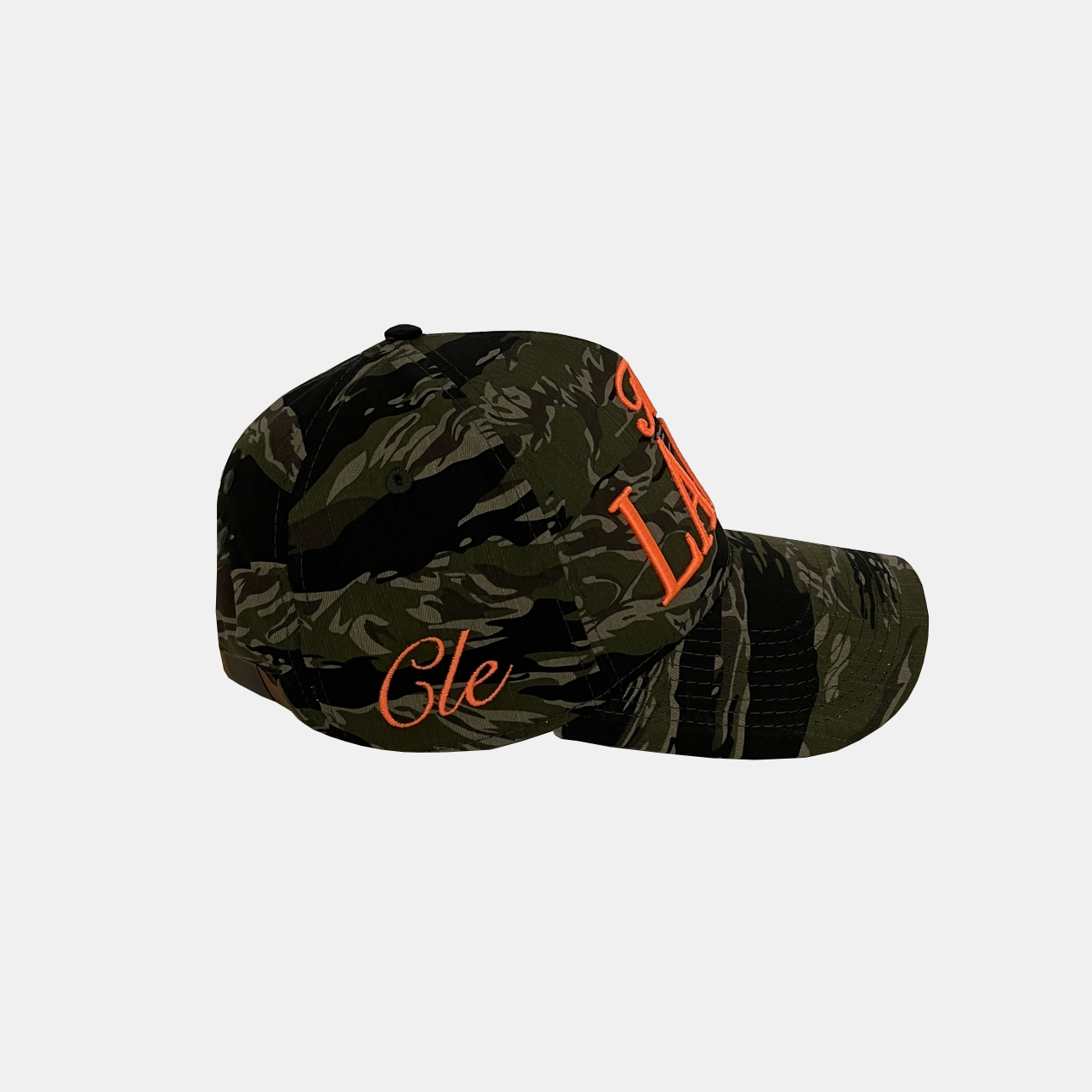 The Land Camo Hat