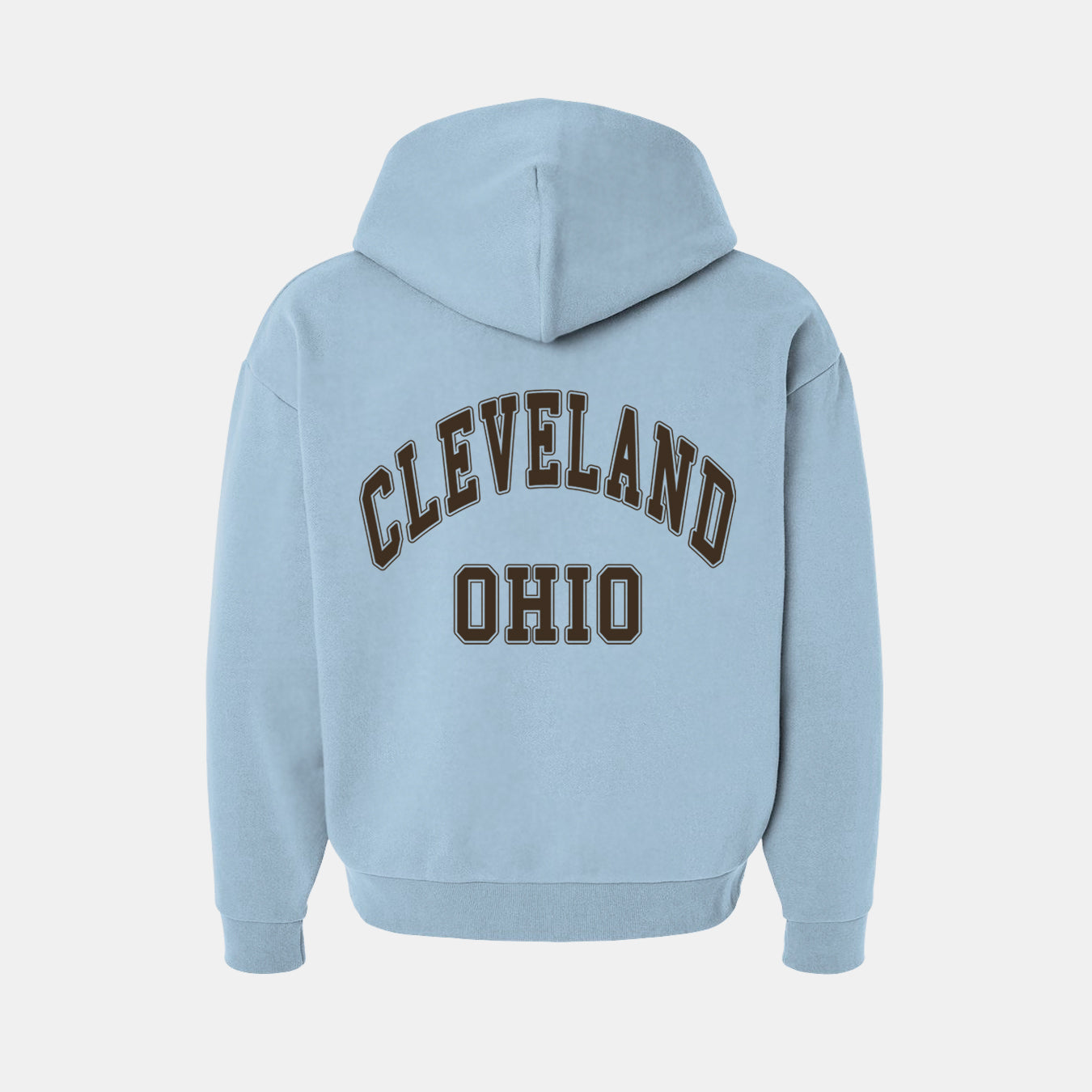 Rooted In Ohio Hoodie - Baby Blue