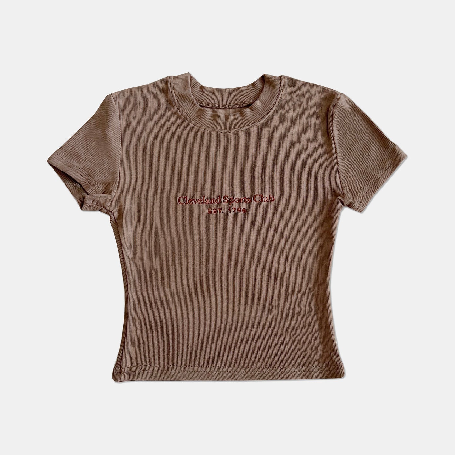 Cleveland Sports Club Embroidered Cropped T-shirt - Brown