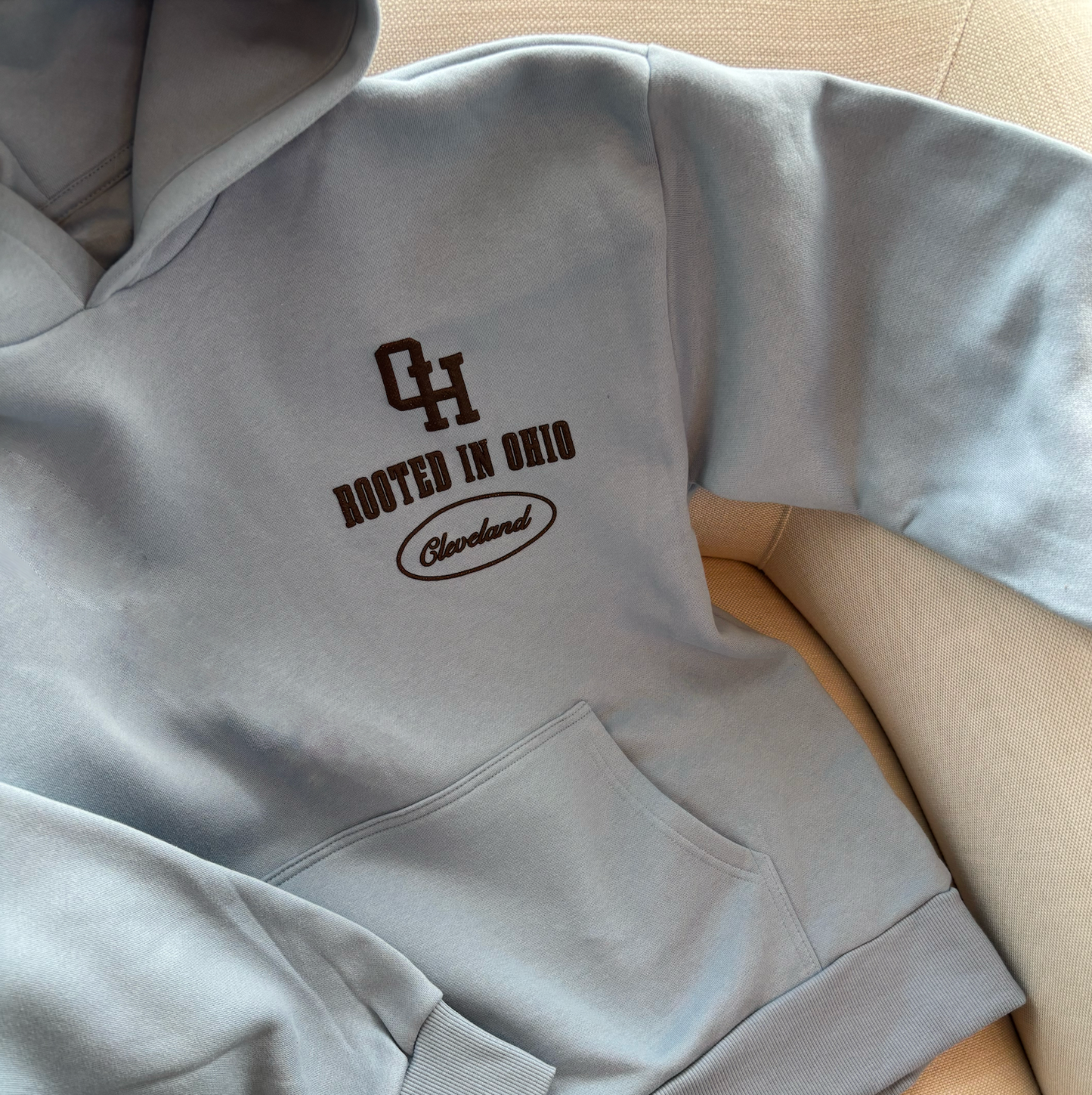 Rooted In Ohio Hoodie - Baby Blue